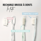 Têtes rechargeables souples pour brosse à dents – étui de 2
