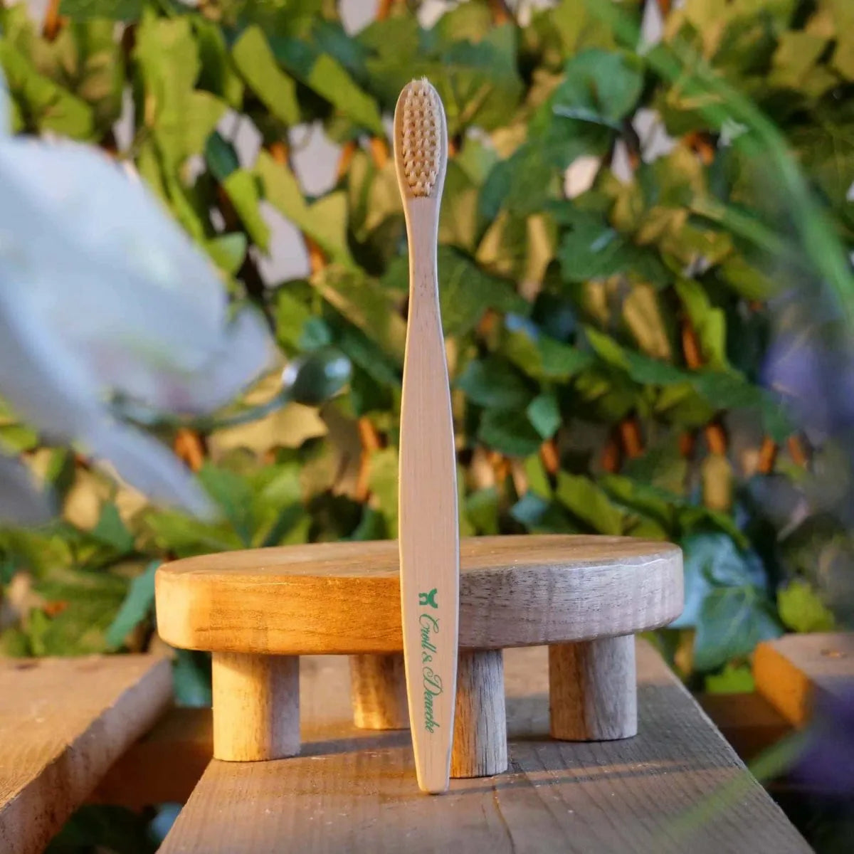 Brosse a dent en bois